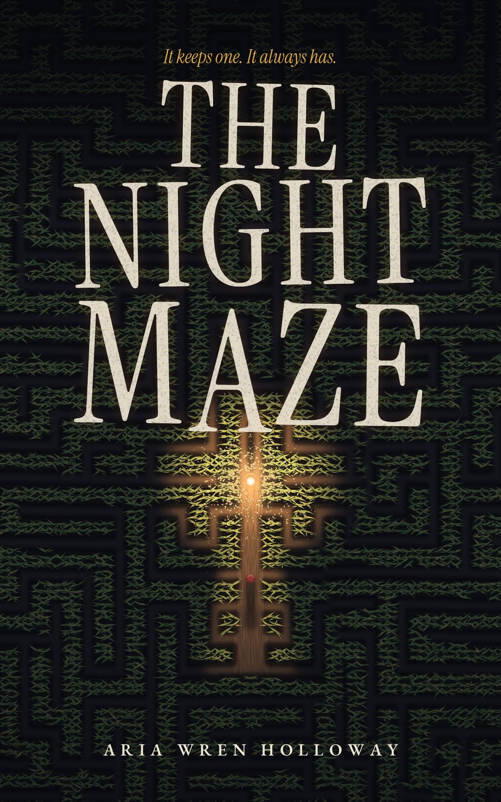 Cover of The Night Maze